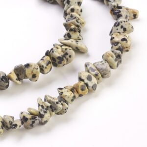 Escalla de Jaspe Dalmata