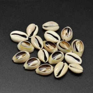 Caracoles/buzios ranurados ocre (precio por 20 gramos)