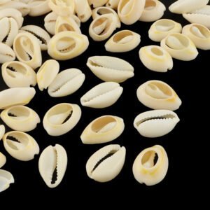 Caracoles/buzios ranurados (precio por 20 gramos)