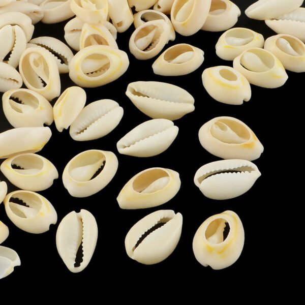 Caracoles/buzios ranurados (precio por 20 gramos)