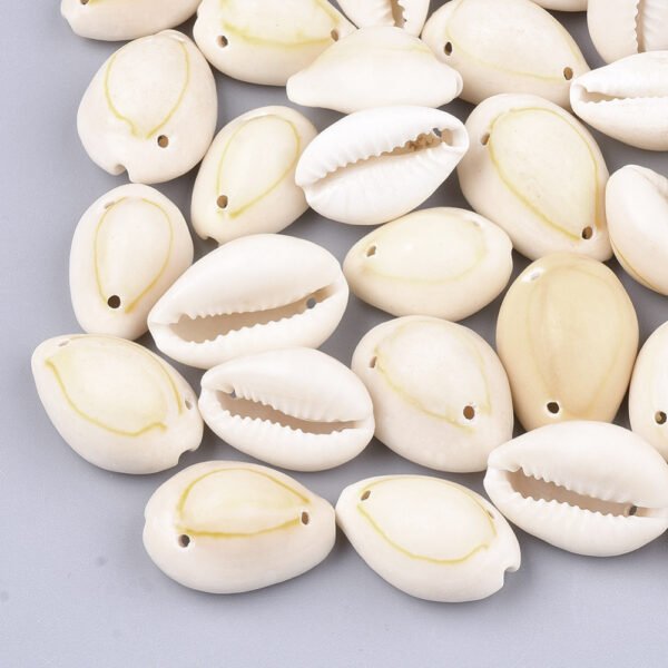 Buzios con 2 perforaciones (Precio por 50 gramos) - Imagen 2