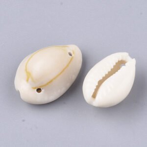 Buzios con 2 perforaciones (Precio por 50 gramos)