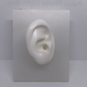 OREJAS DE SILICONA PARA EXHIBICION