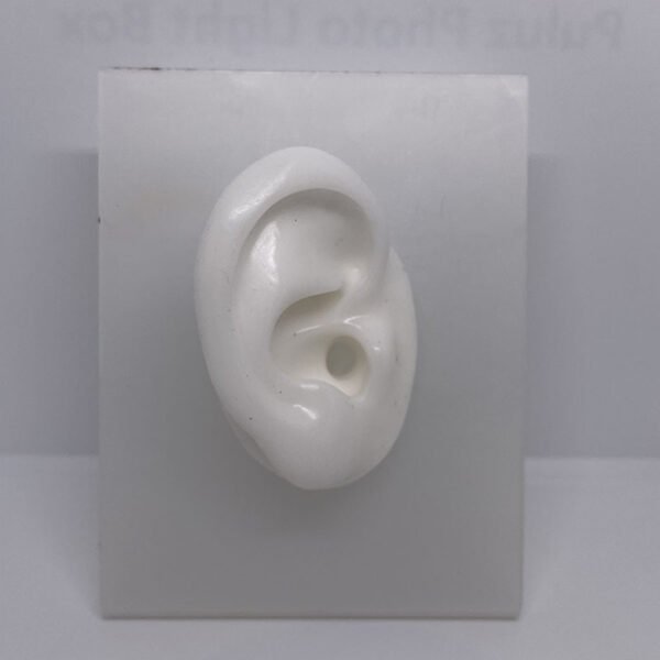 OREJAS DE SILICONA PARA EXHIBICION