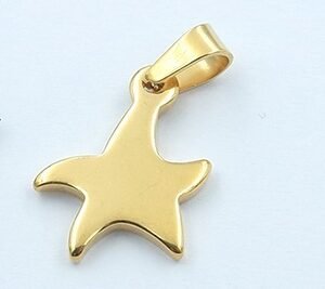 Dije estrella 19mm