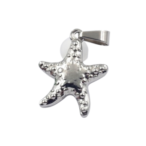Dije plateado estrella de mar